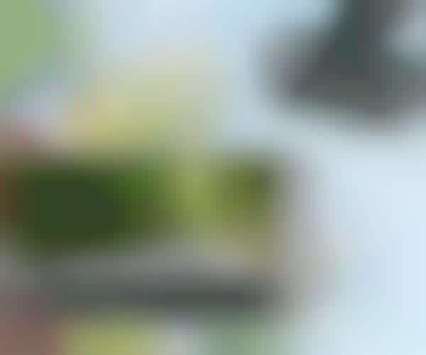 Video Windshield Recorders