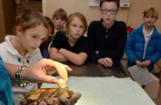 3D-Printed Turtle Prosthetics