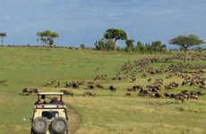 Extravagant Safari Tours