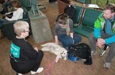 Travel Therapy Dogs