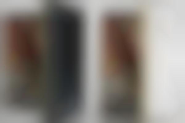 Metallic Smartphone Models
