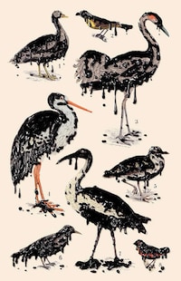 Old-School Editorial Designs Image 4