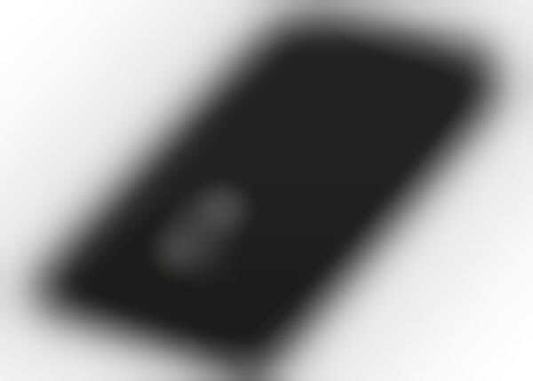 Fingerprint-Scanning Passport Cases