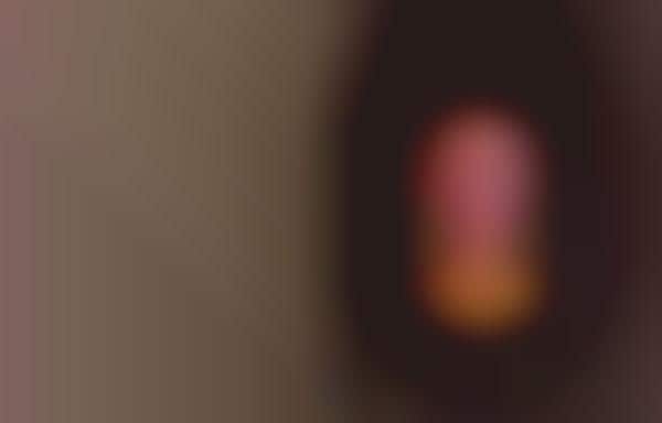 Autonomous Personal Robots