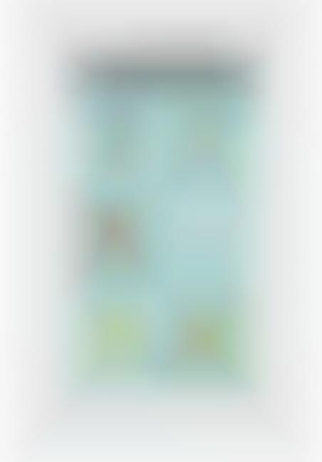 Simplified Senior Smartphones