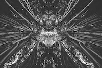 Mirrored Monochromatic Landscapes Image 2