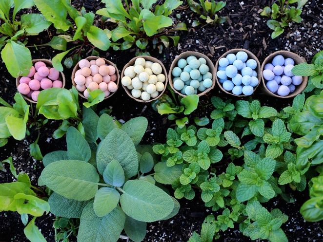 Wildflower Seed Bombs