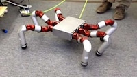 Monstrous Snake Robots Image 4