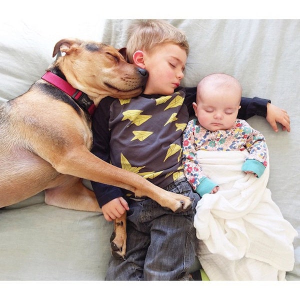 Napping Photo Series
