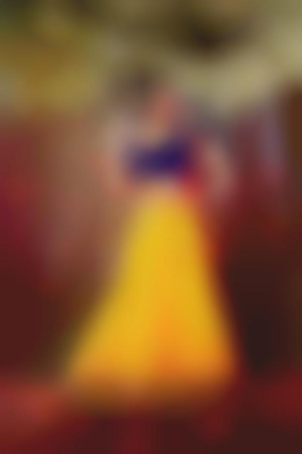 Indian Disney Princess Brides
