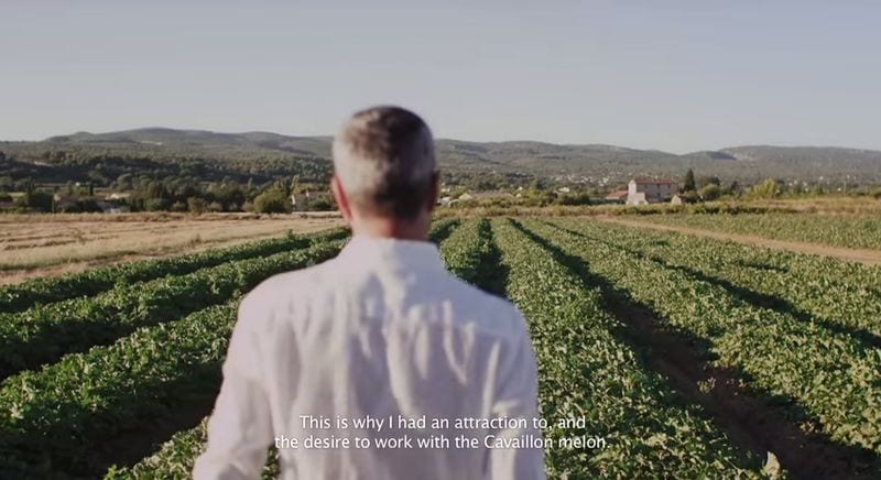 Agricultural Alcohol Campaigns