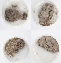 Ceramic Dust Art Image 2