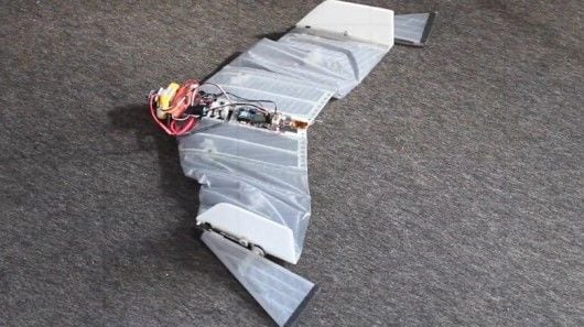Vampire Bat Drones