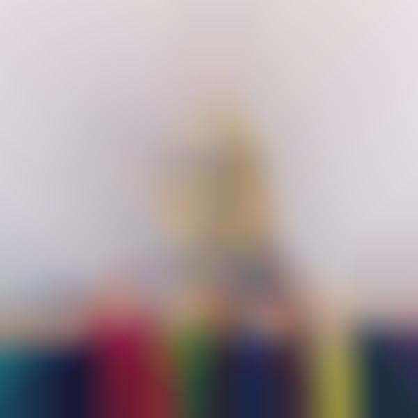 Social Media Bird Celebrities