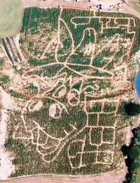 Crazy Corn Mazes Image 3
