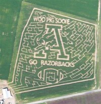 Crazy Corn Mazes Image 5