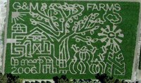 Crazy Corn Mazes Image 6