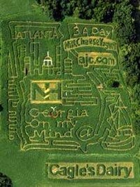 Crazy Corn Mazes Image 7