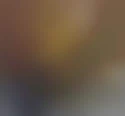 Modern Pet Mummification