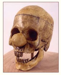 Anatomical Anomaly Art Image 2
