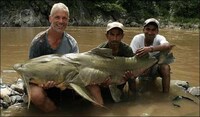 Man-Eating River Monsters