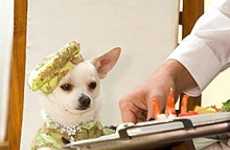 35 Luxuries For Dogs