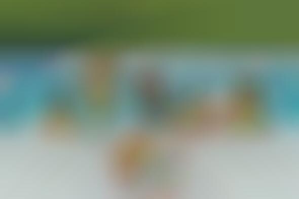 Blogs About Bad Image Editing