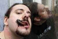 Gross World Records Image 2