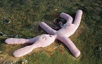 Aerial Art