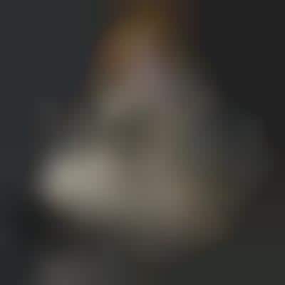 Portraits of Historical Female Icons