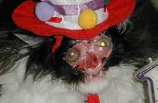 Faceless Therapy Cats