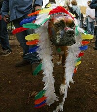 Halloween Dog Parades Image 3