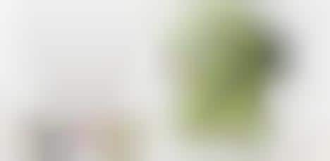 Stuffed Pickle Dolls