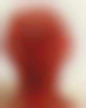 Art for Carnivores