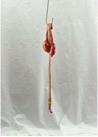 Art for Carnivores Image 8