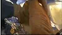 Eating Prospective World Records Image 4
