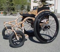 Personal Mobility Makeovers Image 3