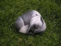 DIY Pebble Animals Image 4