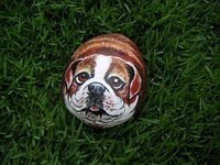DIY Pebble Animals Image 8