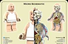 Anatomically-Correct Toys