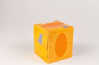 Kid-Focused Tissue Packaging Image 2