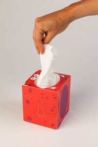 Kid-Focused Tissue Packaging Image 5