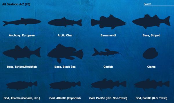 Sustainable Fish Charts