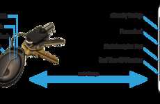 Wearable Safety Devices