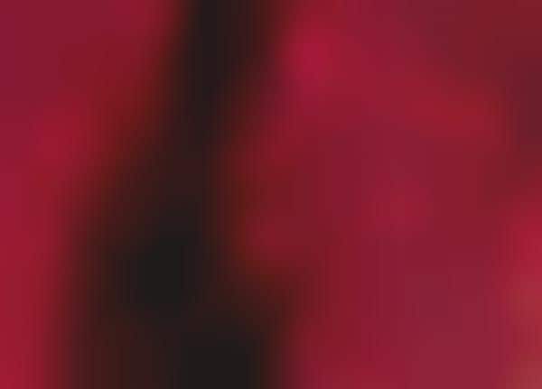 Rose-Hued Nightlife Photography