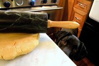 DIY Pumpkin Puppy Treats Image 4