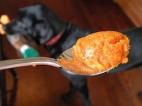 DIY Pumpkin Puppy Treats Image 5