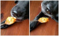 DIY Pumpkin Puppy Treats Image 6