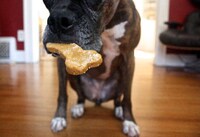 Sweet Potato Dog Biscuits Image 2