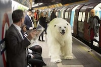 Animal Underground Commuters Image 2
